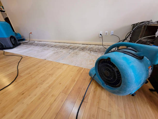 Professional Structural Drying technician working in Micro, NC